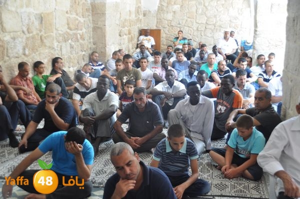 bazsalah lud 712 (61).JPG